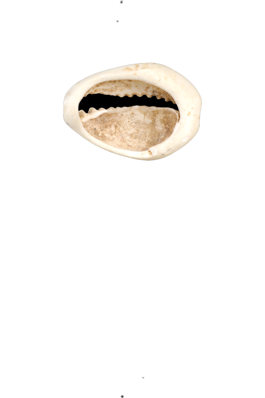 picture of Cowrie Money